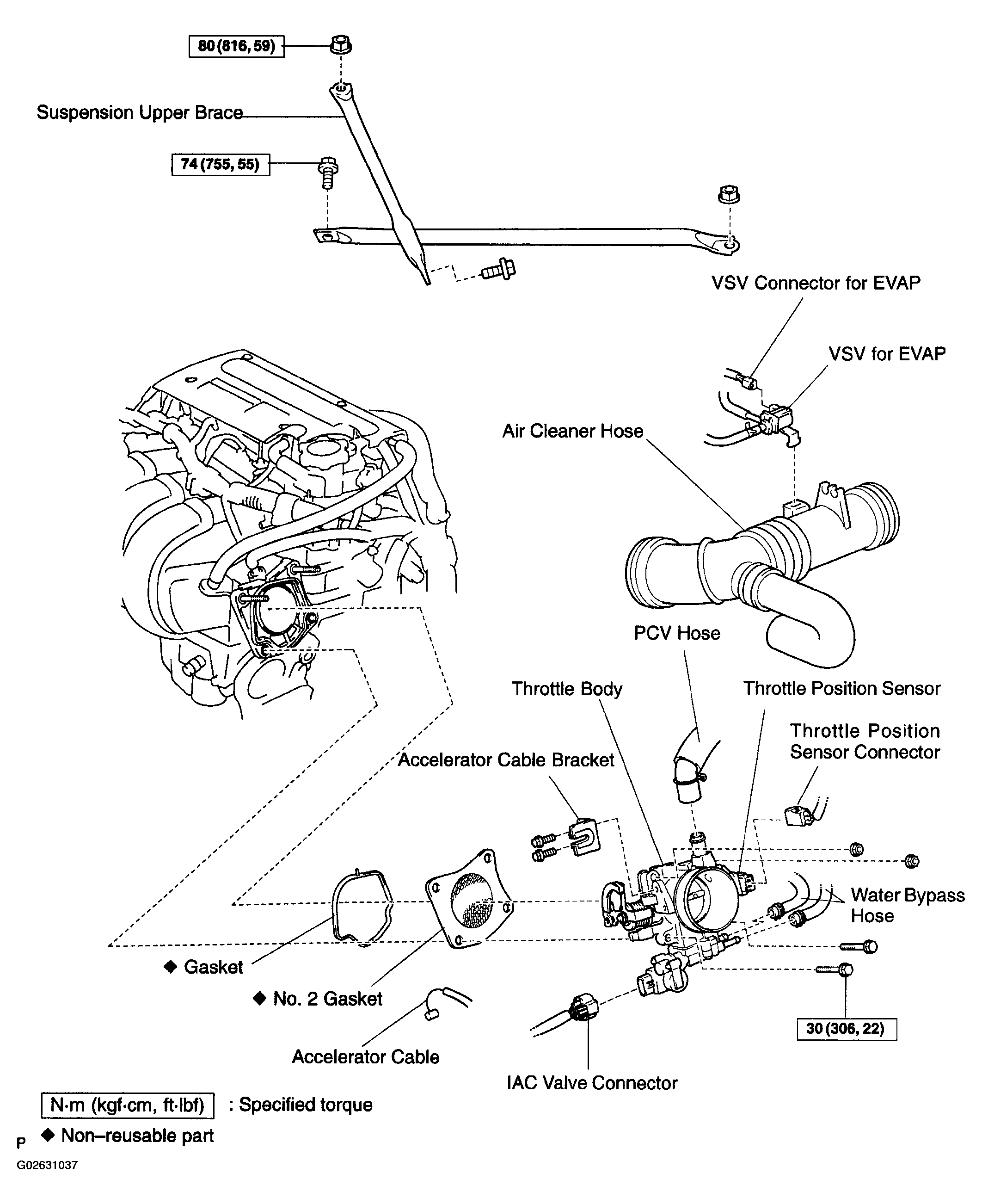 G02631037