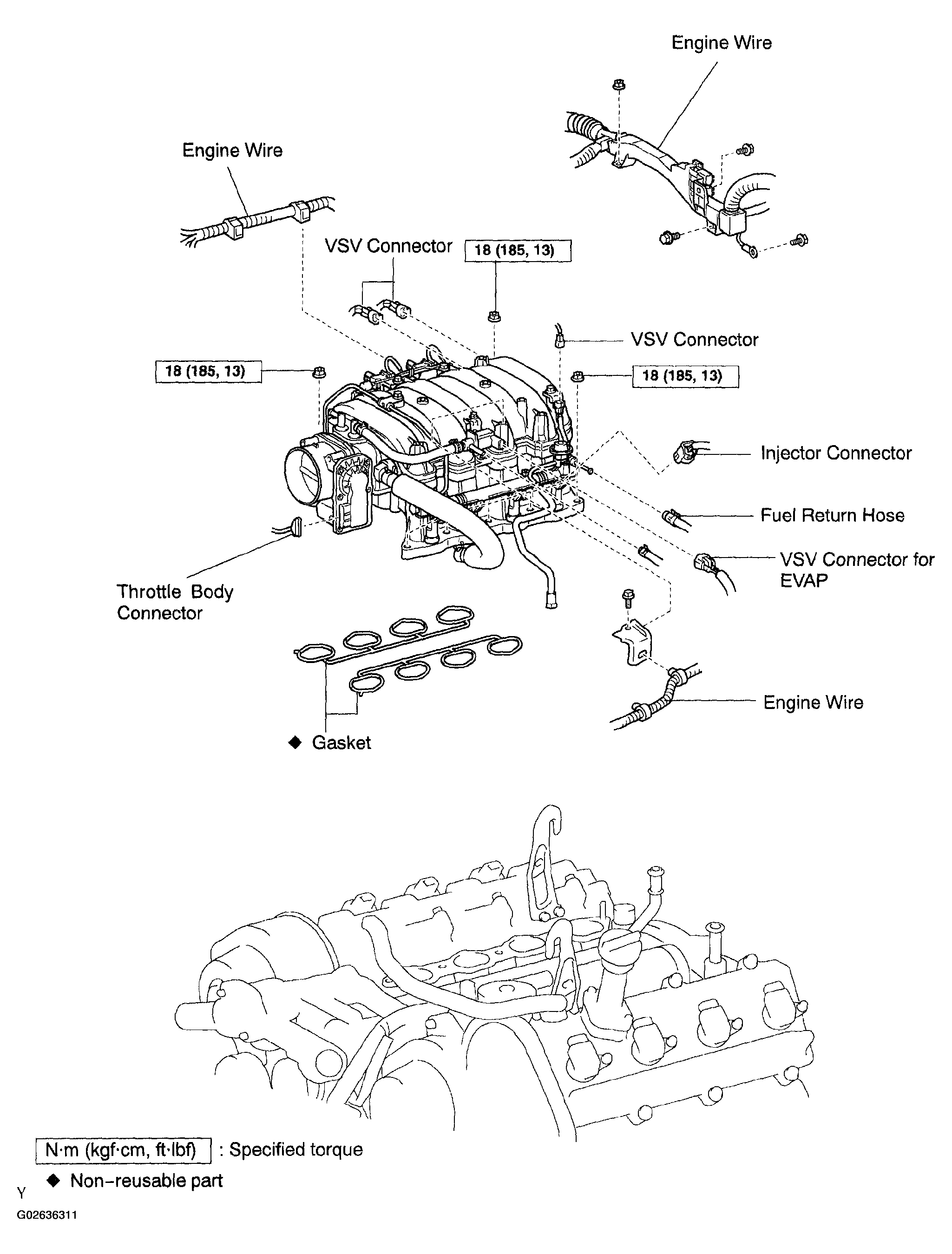 G02636311