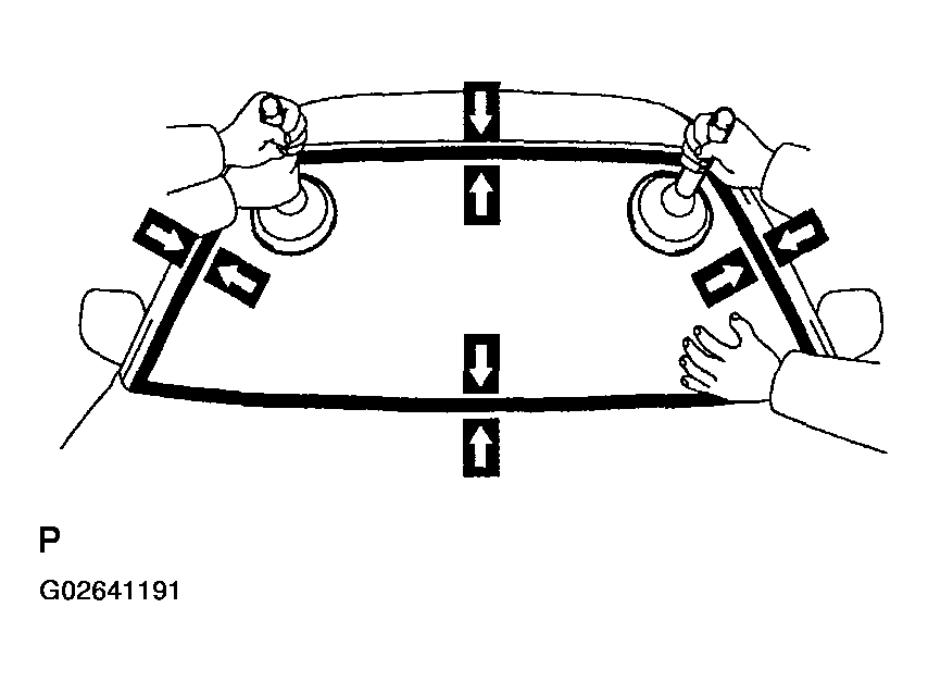 G02641191