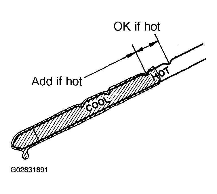 G02831891