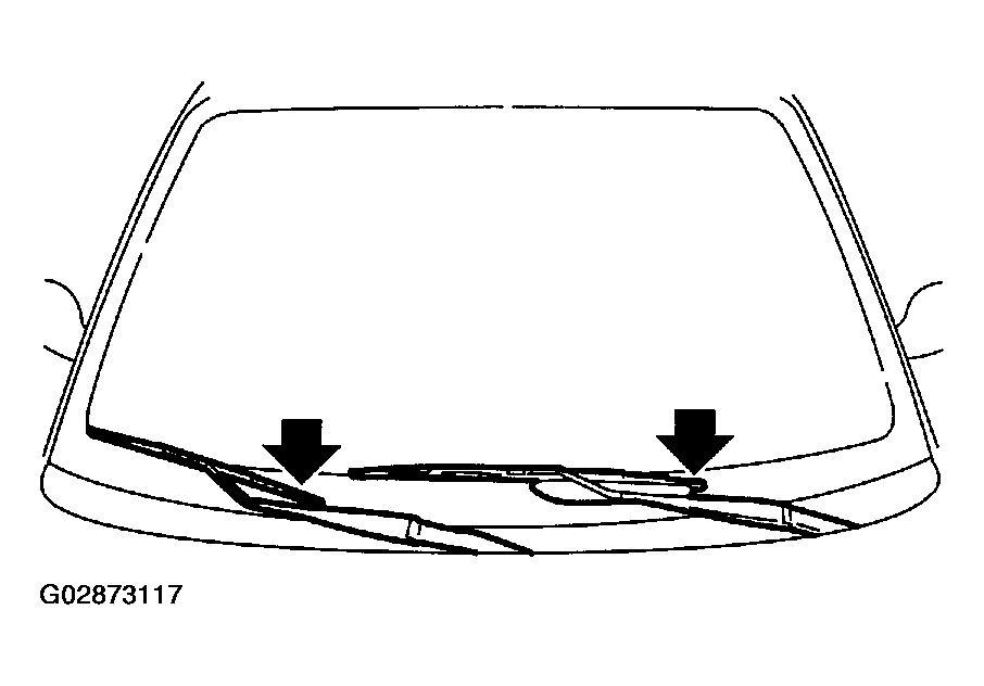 G02873117