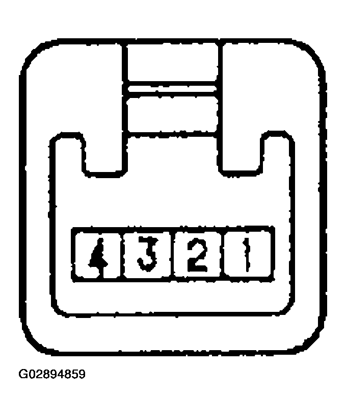 G02894859