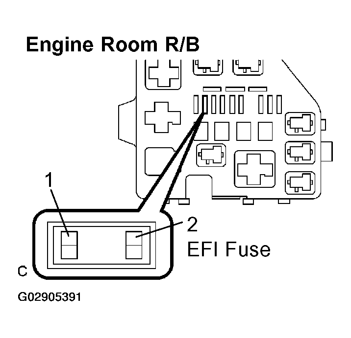 G02905391