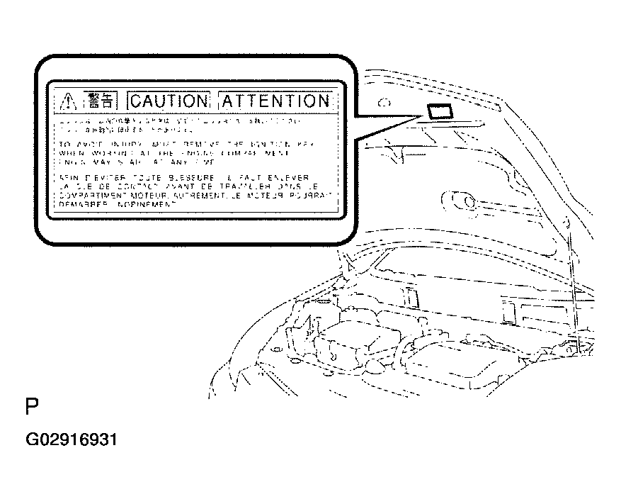 G02916931
