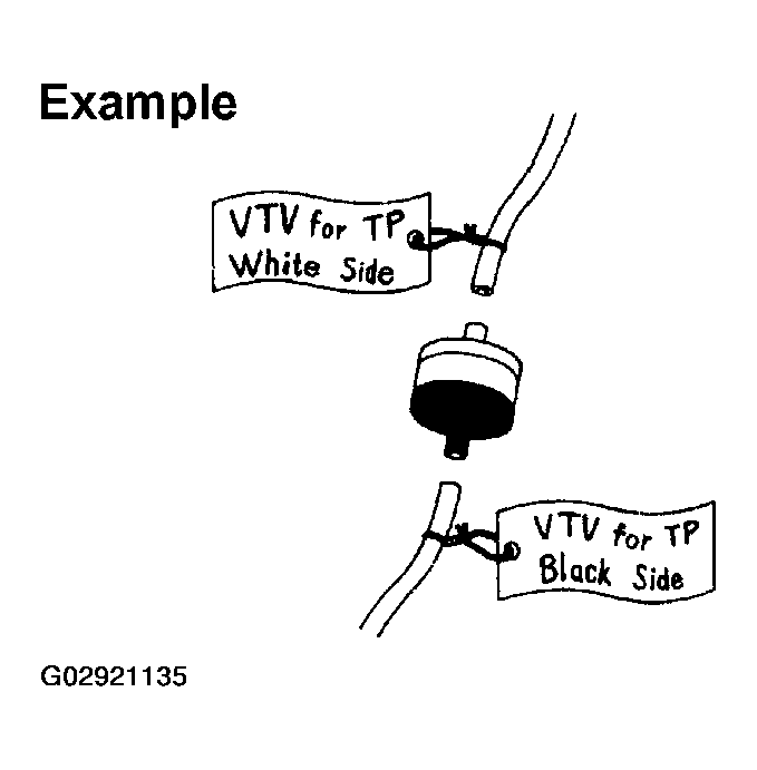 G02921135