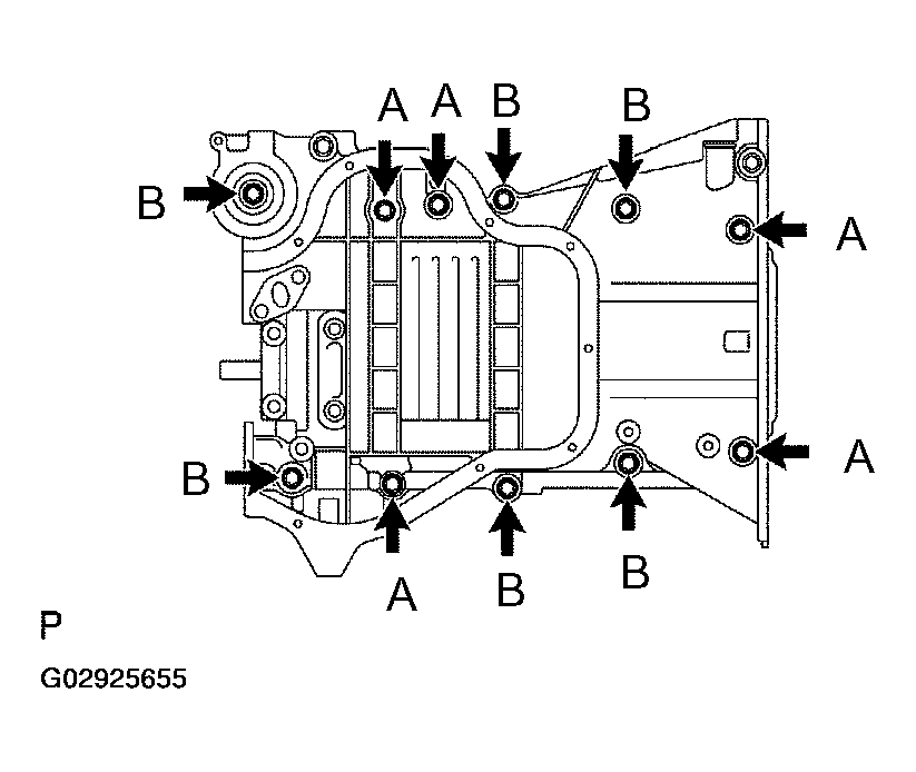 G02925655