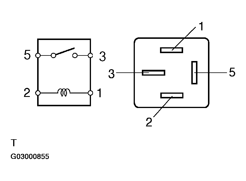 G03000855