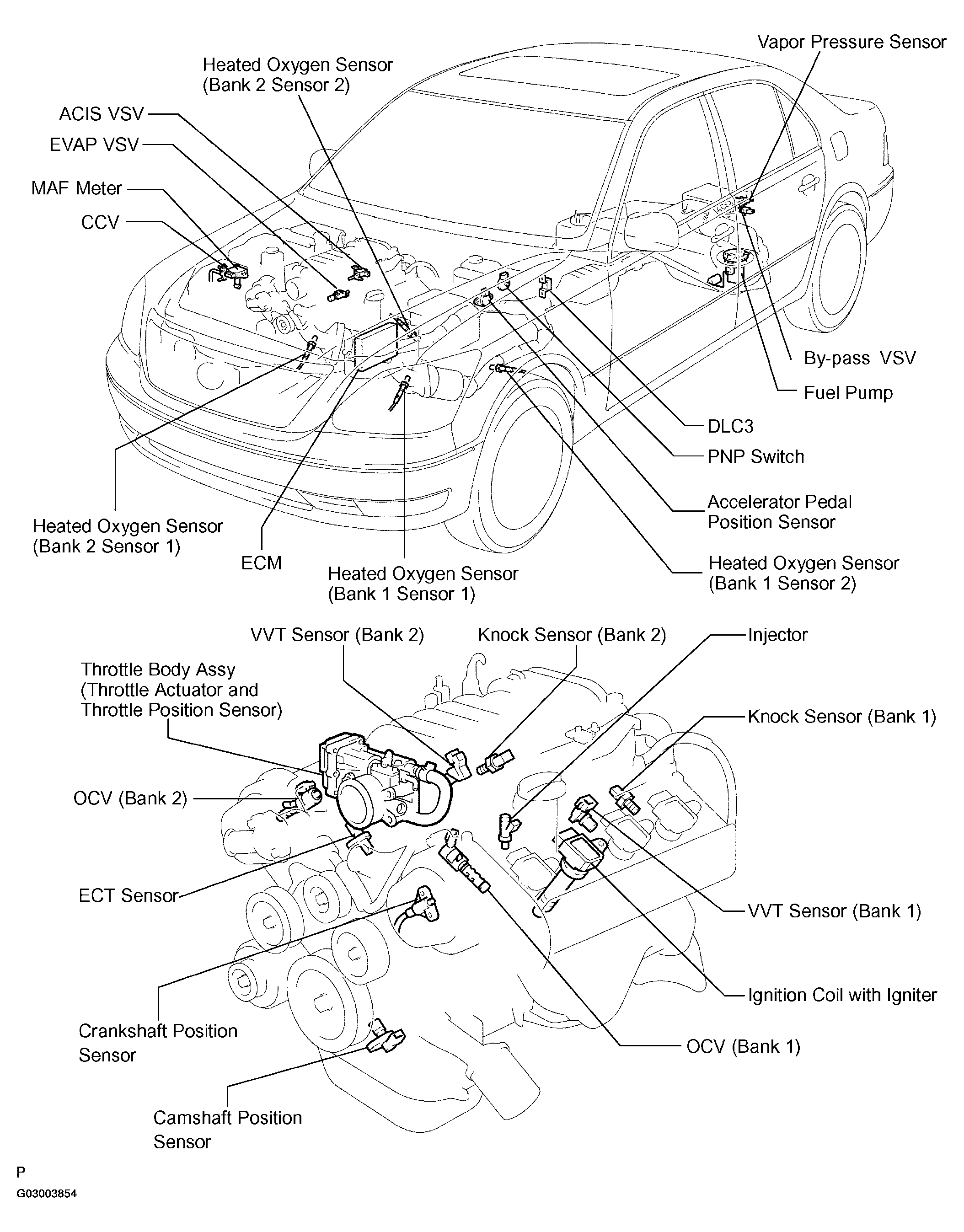 G03003854