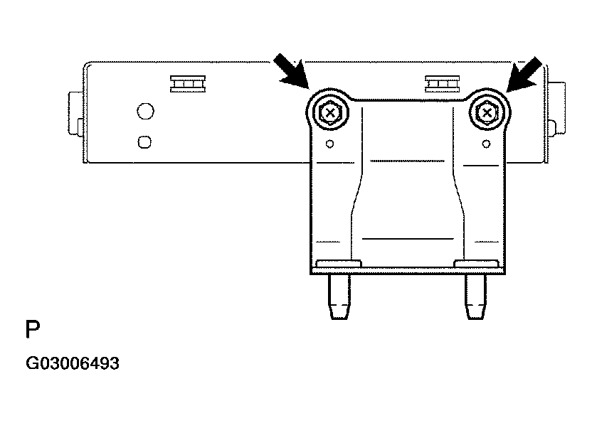 G03006493