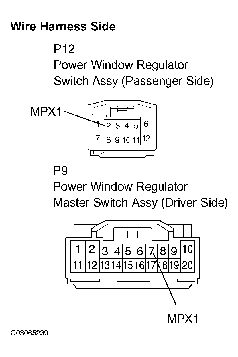 G03065239