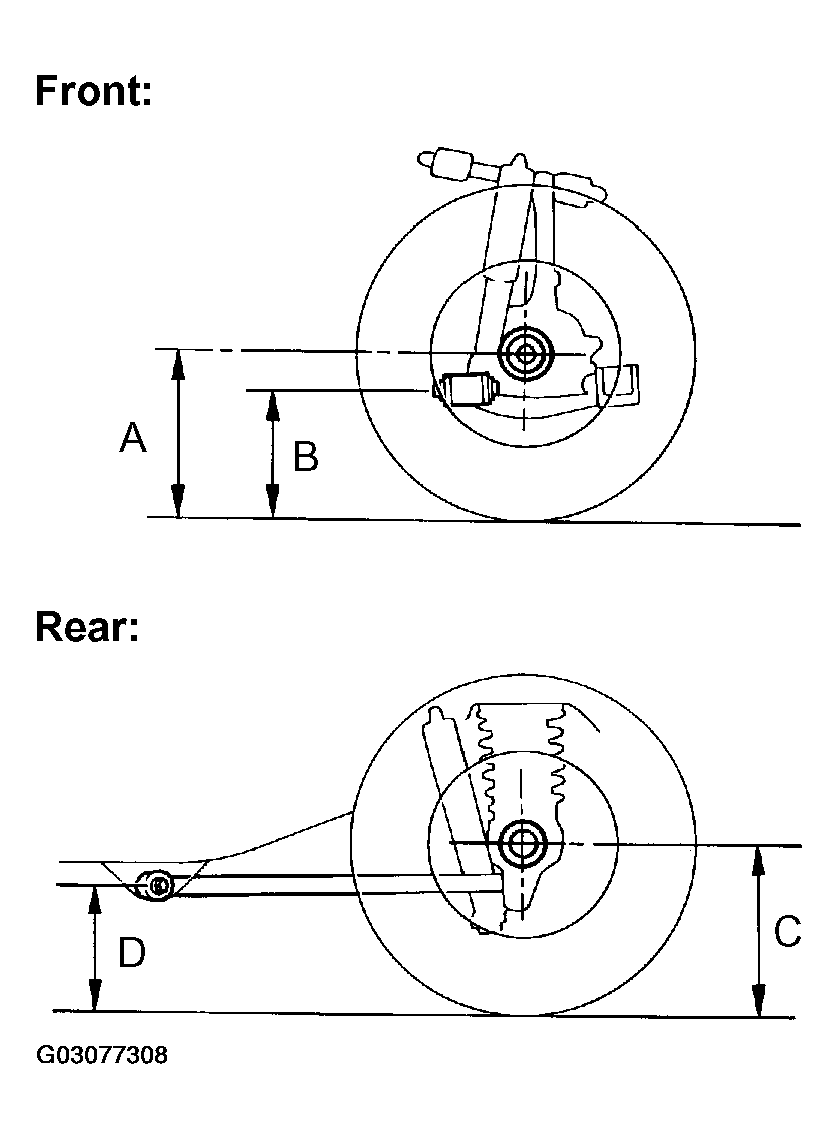 G03077308