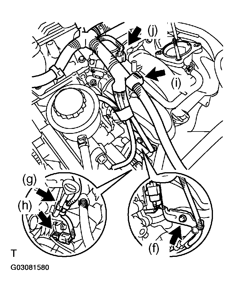 G03081580