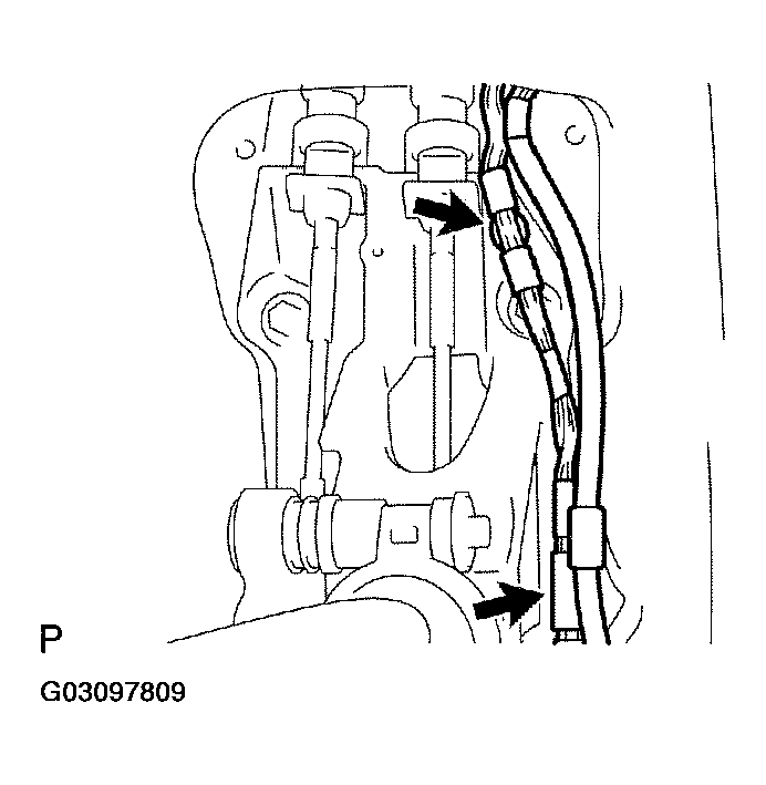 G03097809