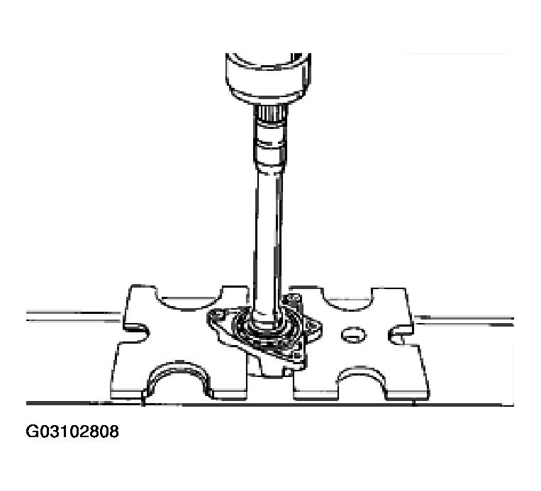 G03102808