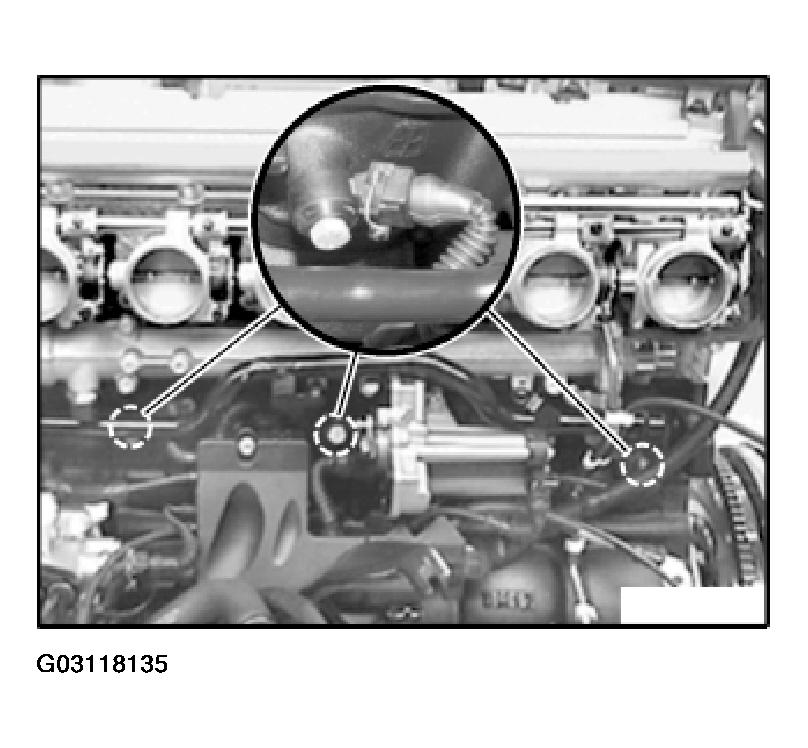 G03118135