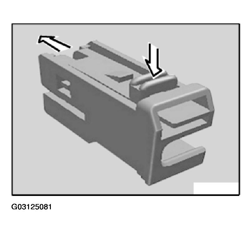G03125081