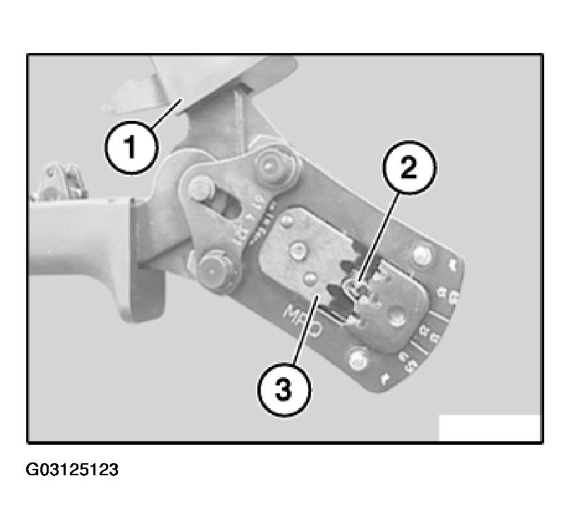 G03125123