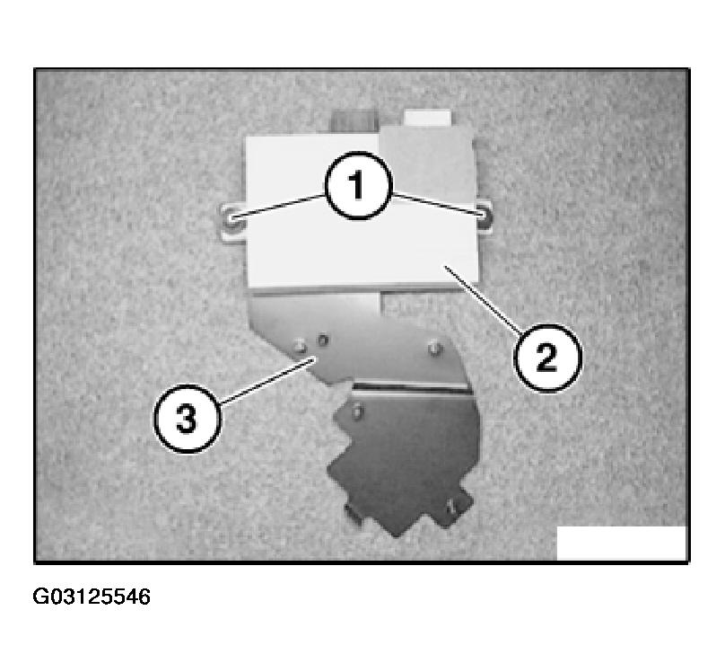 G03125546