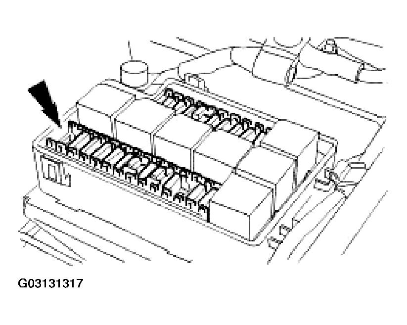 G03131317
