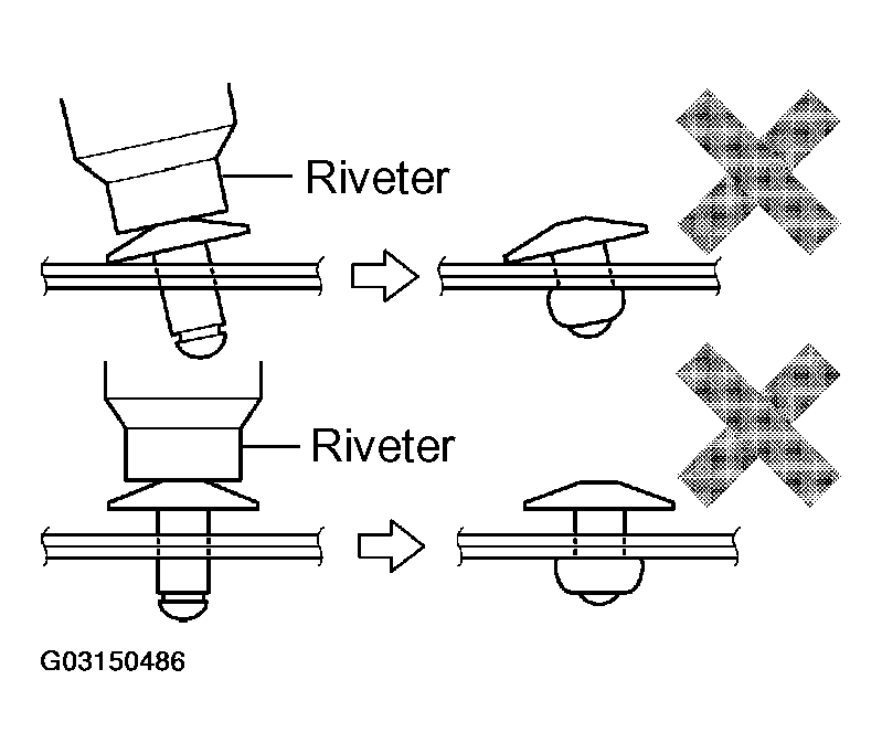 G03150486