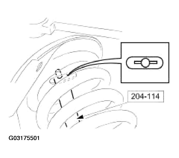 G03175501