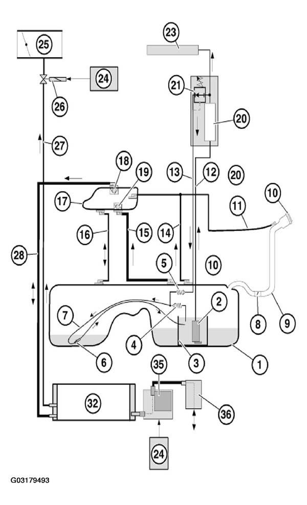 G03179493