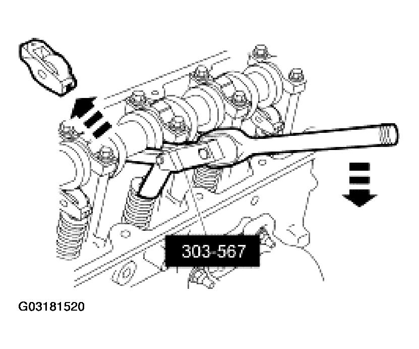 G03181520