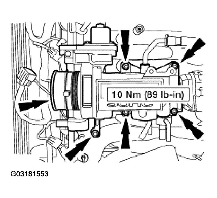 G03181553