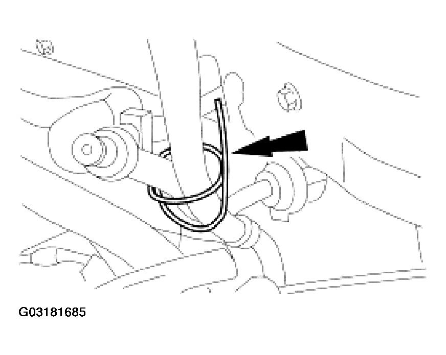 G03181685