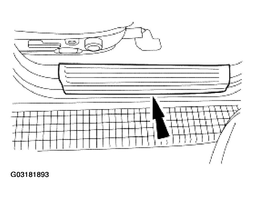 G03181893