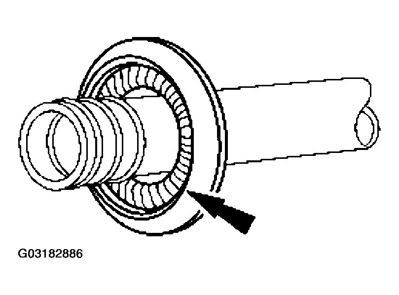 G03182886