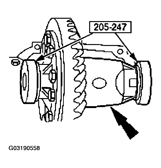 G03190558