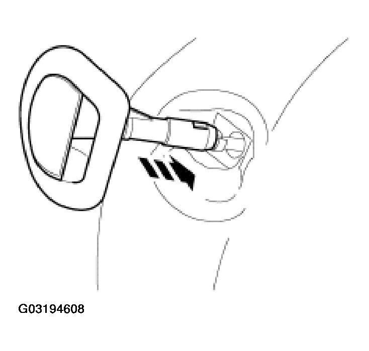 G03194608