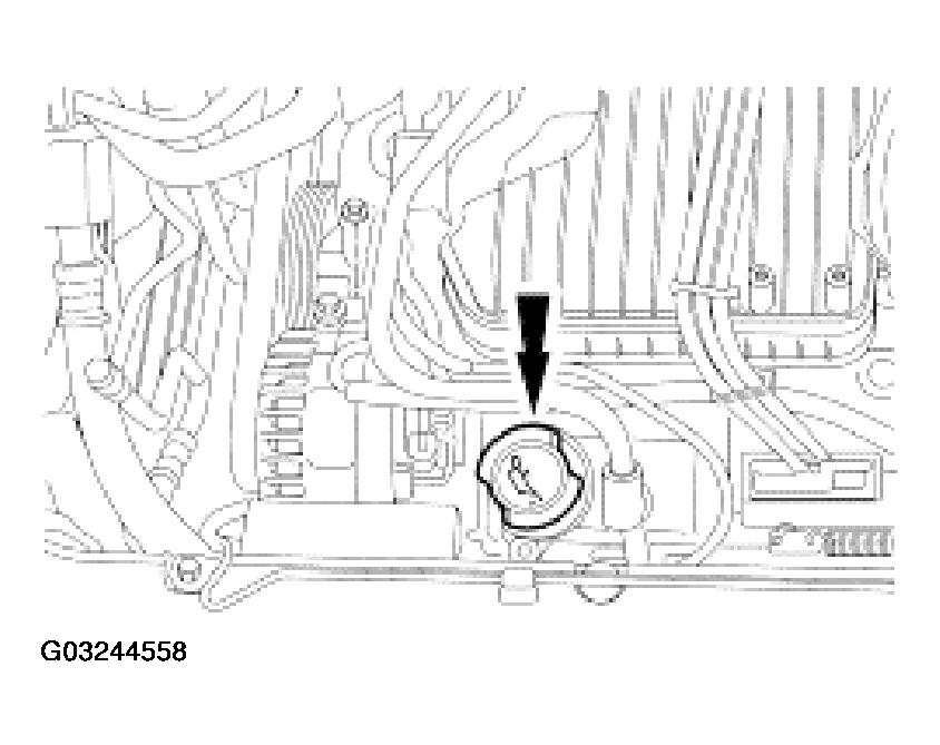 G03244558