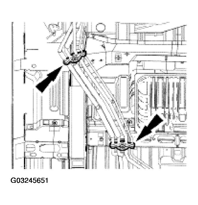 G03245651