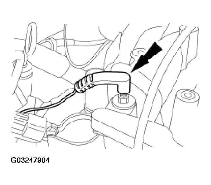 G03247904