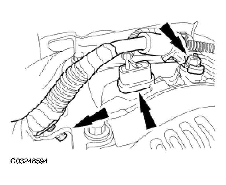 G03248594