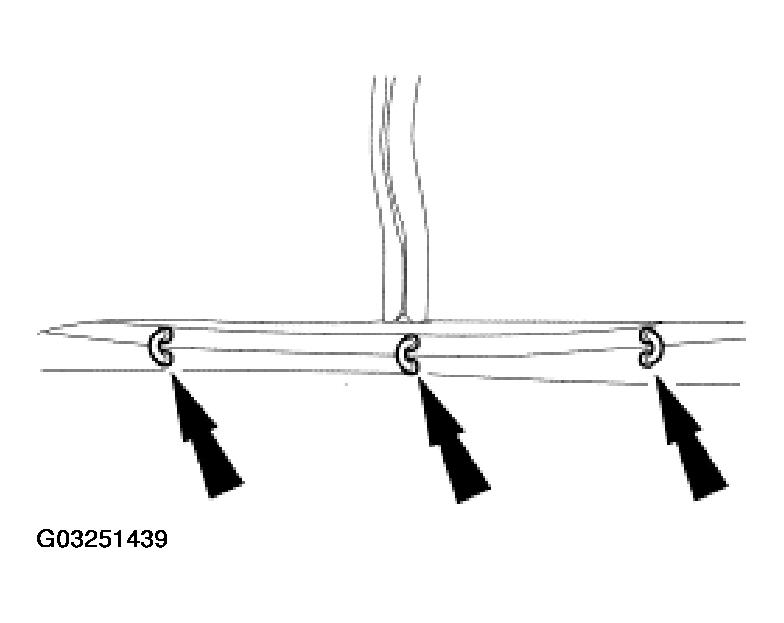G03251439