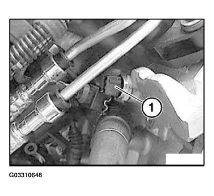 G03310648