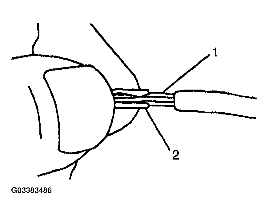 G03383486