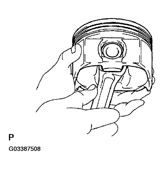 G03387508