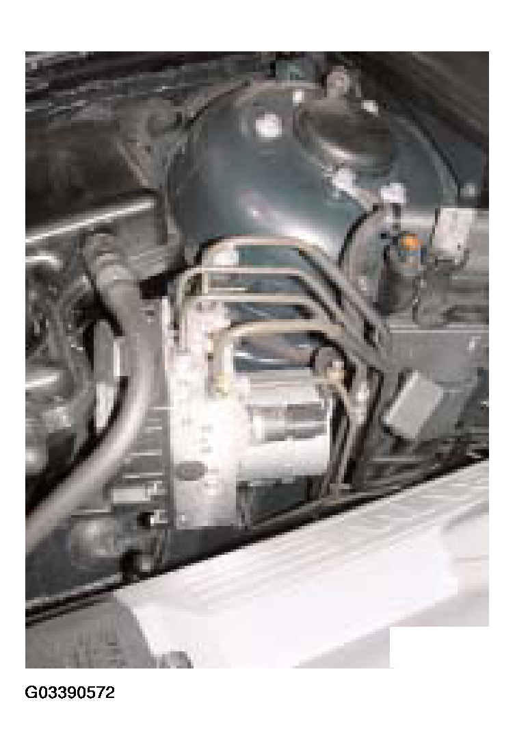 G03390572