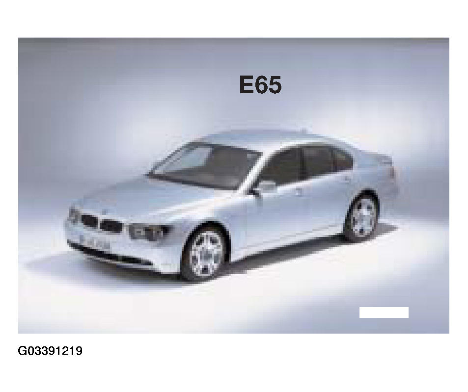 G03391219