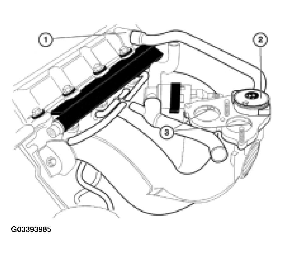 G03393985