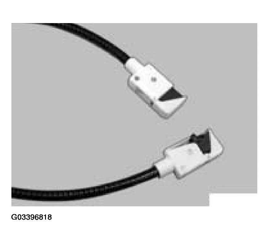 G03396818