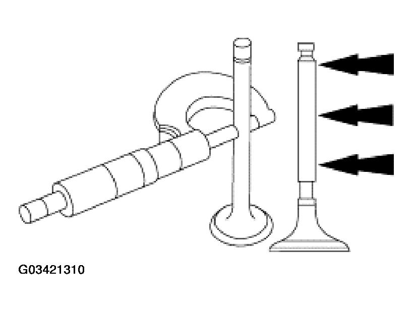 G03421310