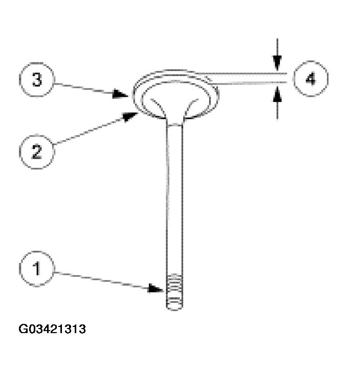 G03421313