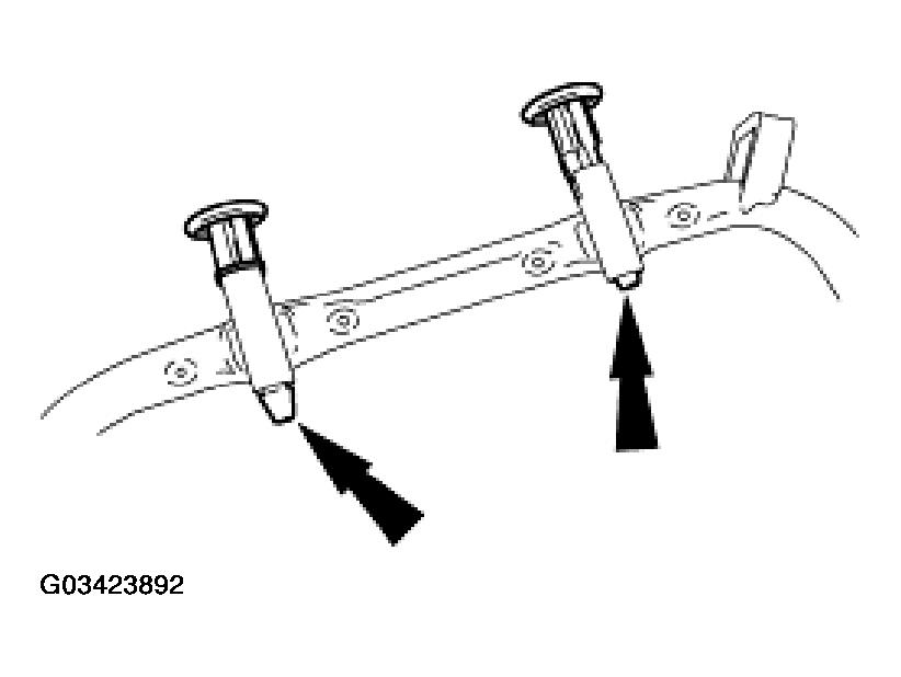 G03423892