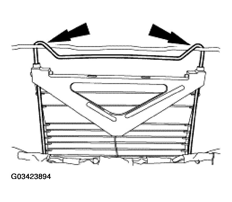 G03423894