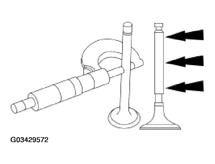 G03429572